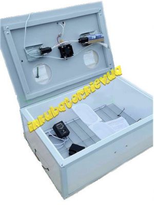 Инкубатор механический "Курочка Ряба ИБ-100" с цифровым терморегулятором и вентилятором