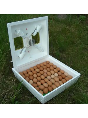 Інкубатор "Квочка МИ-30-1С"  на 70 яєць з ручним переворотом