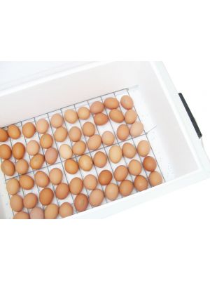 Інкубатор автоматичний "Курочка Ряба ИБ-100" місткістю 100 яєць з подвійним пластиковим корпусом і металевим каркасом