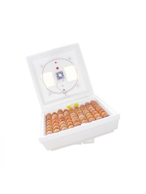 Електронний цифровий інкубатор "Квочка МИ-30-1-Э" на 80 яєць з корпусним переворотом (тепловий шнур)